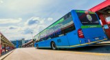 citaro-news