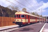 ALe803pineto_02