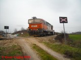 D753703li_raccfrosinone
