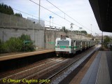 117_saxarubra