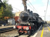 625017collemattia
