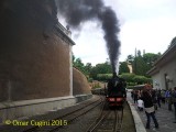 625017_scv