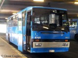 8705_romapontemammolo