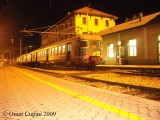 ALe803_tirano