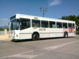 Foto0243