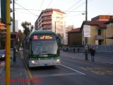 403_91nazariosauro