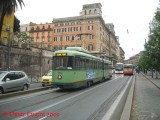 7007_5vittorio