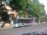 8877_339porrolambertenghi