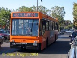 3416_062vannutelli