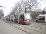DSCN8874