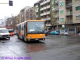 606_baleniere