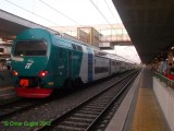 TAF51_rmostiense