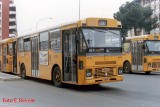 4512_671collialbani