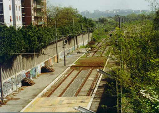 Vigna Clara