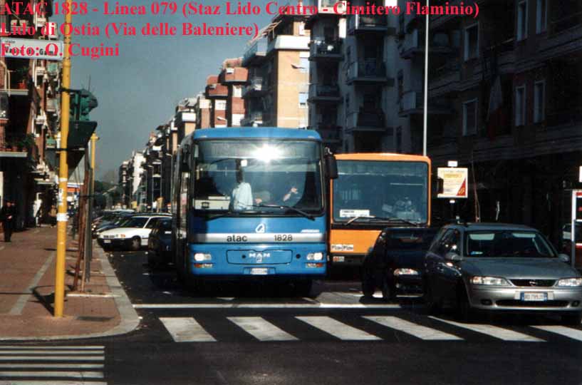 La 1828 impiegata in servizio di linea sullo 079 in Via delle Baleniere,ad Ostia Lido